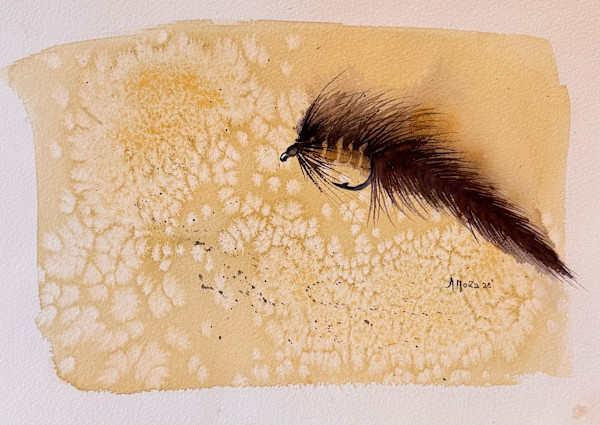 Watercolor Fly by Moni Moka