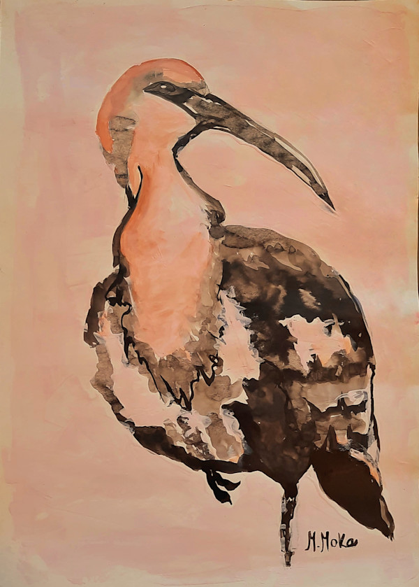 Bandurria solitaria. by Moni Moka