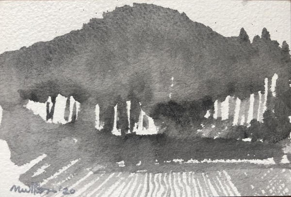Kyoto Landscape: Sonobe Rice Field and Pine Stands by Marianne Wilson