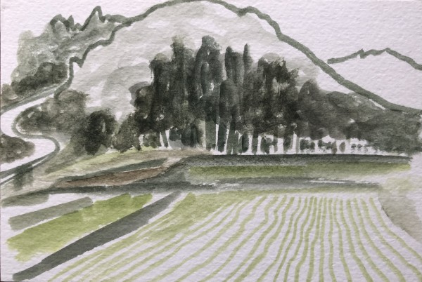 Kyoto Landscape: Sonobe Rice Field and Winding Road by Marianne Wilson