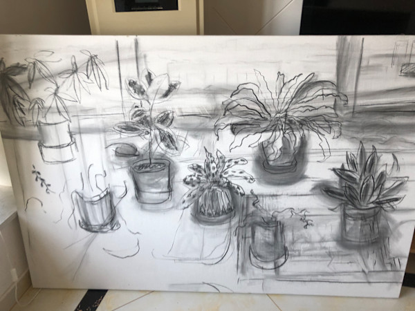Houseplants in China by Marianne Wilson