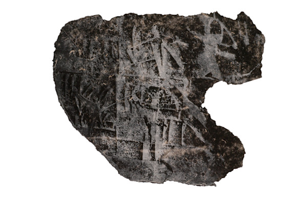 Salmu 17B from the series Disenchanting Salmu | Salmu 17B da série Desencantando Salmu