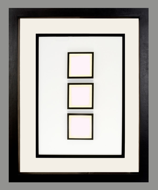 Silent on the Subject of Light by Shelby Head