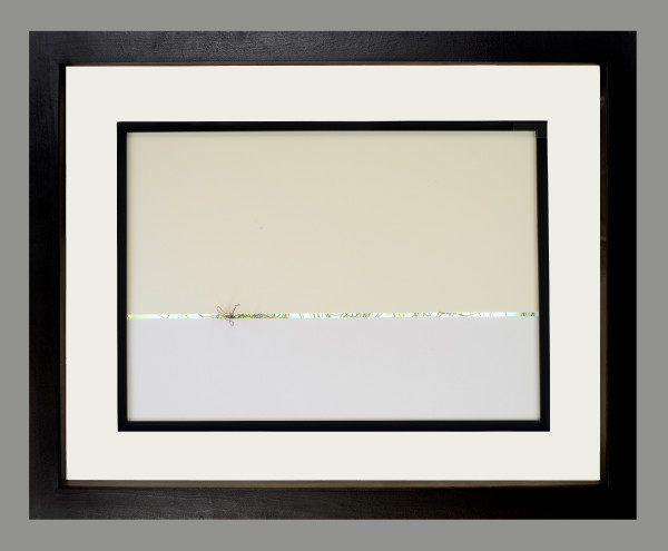 Evidence of Life by Shelby Head