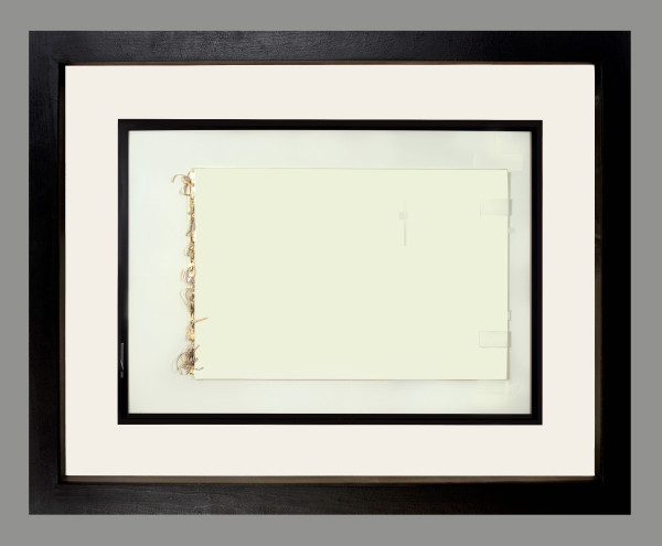 Decisions and Revisions by Shelby Head