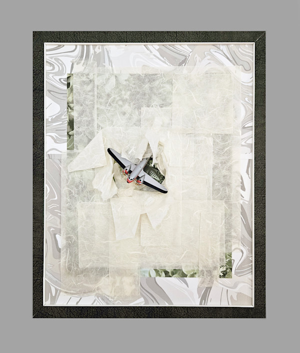 Alien Enemies Act by Shelby Head