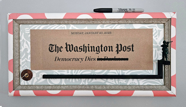 Democracy Dies by Shelby Head