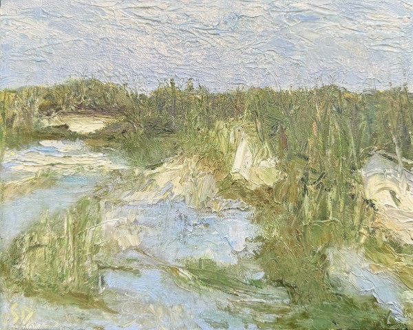 COMING IN by Suzy Dmetruk