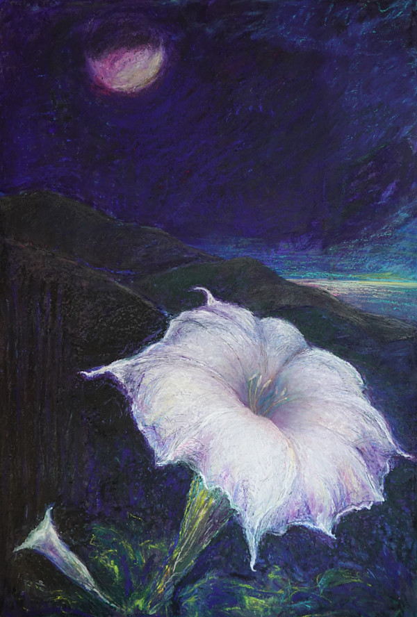 Burn Scar: Sacred Datura by Sarah D. Lejeune