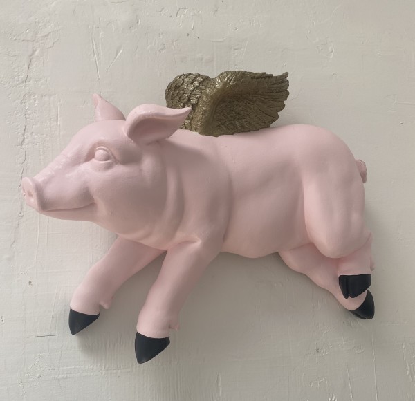 Topanga's Flying Pig by Chris Budzin