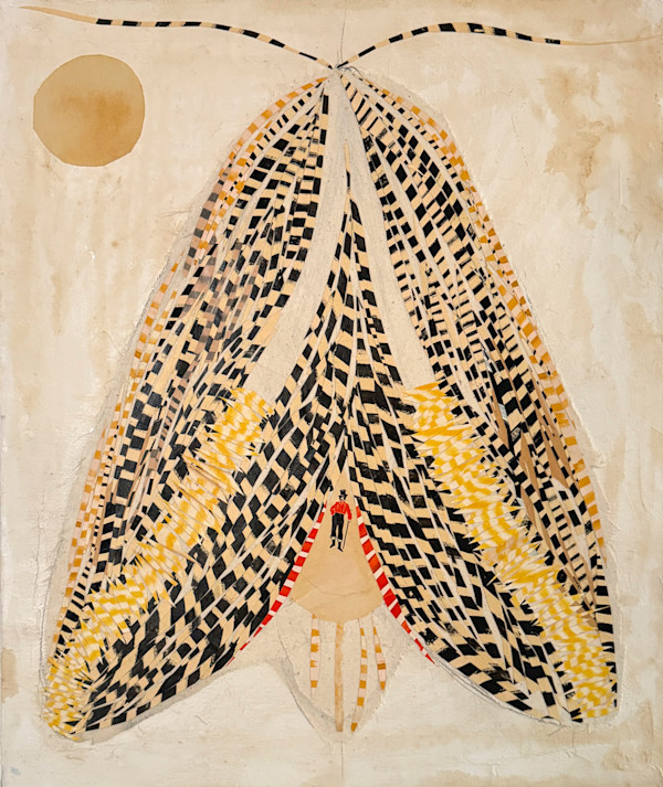 Sphinx Moth by Meghan DeRoma