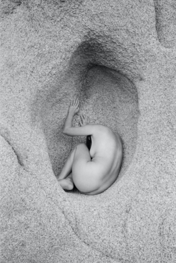 Safe Haven by Birdee