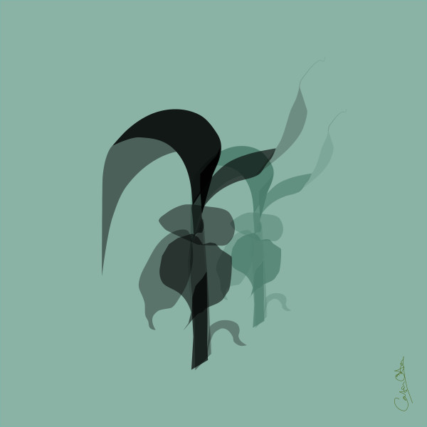 Plant Series 1: Abstract Line Cavendish 4, Black and Green by Catrin O'Hara
