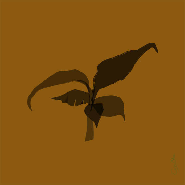 Plant Series 1: Abstract Line Cavendish 6 by Catrin O'Hara