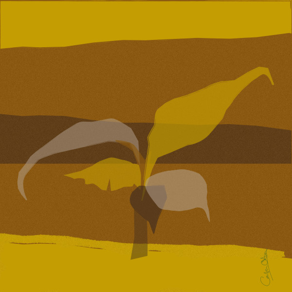 Plant Series 1: Abstract Line Cavendish 6, Yellow and Brown by Catrin O'Hara