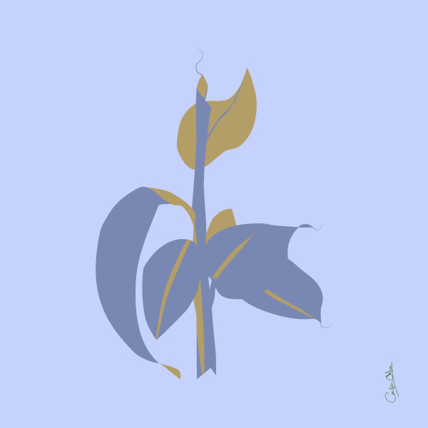 Plant Series 1: Abstract Line Cavendish 7 by Catrin O'Hara