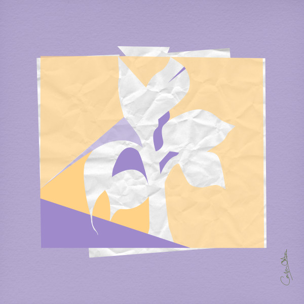 Plant Series 1: Abstract Line Cavendish 9 by Catrin O'Hara