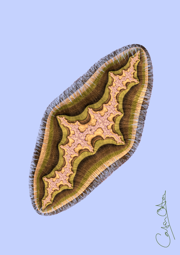 Chichester Iris Fractal, 1 by Catrin O'Hara