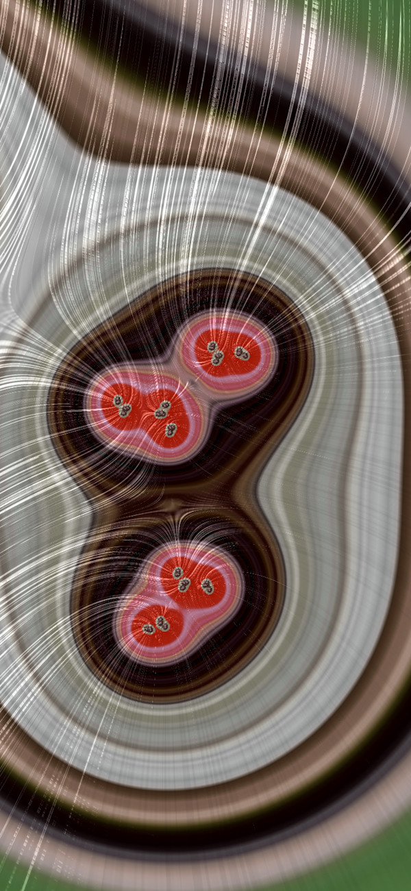 Red Berry Morphing by Catrin O'Hara, Image 3.