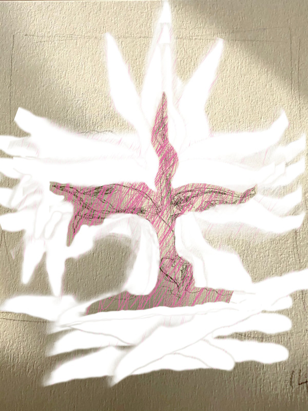 Plant Series 2: Masked Cavendish 2 by Catrin O'Hara