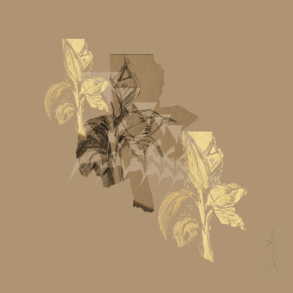Plant Series 2: Masked Cavendish IX 1/10 by Catrin O'Hara