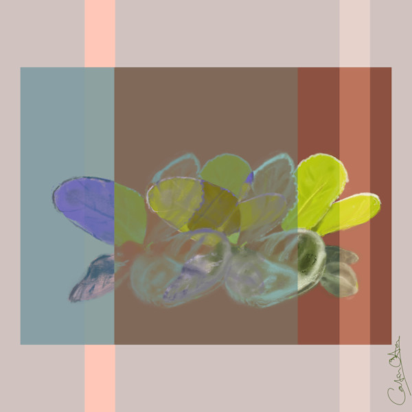 Pen's Plant 1, 1/1 by Catrin O'Hara