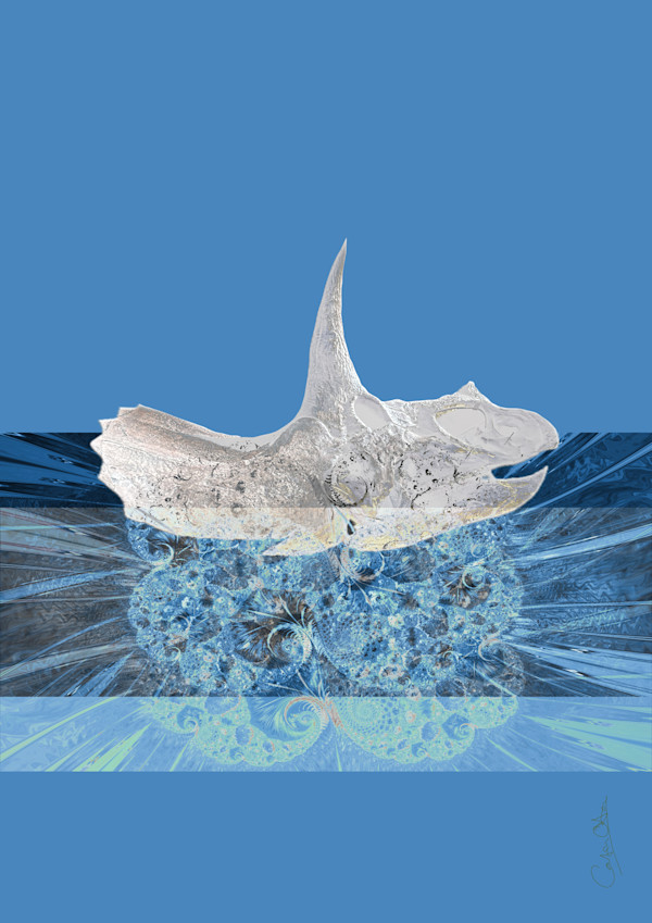 Triceratops in Blue Ice by Catrin O'Hara