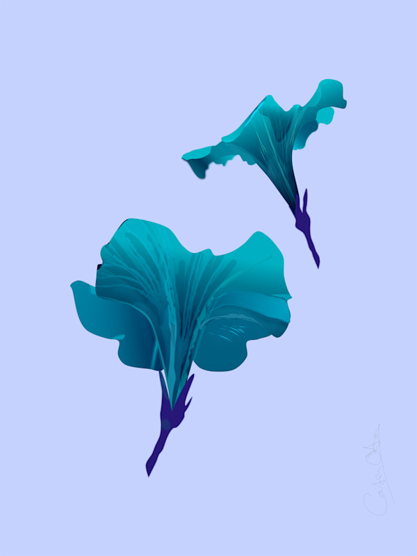 Two Petunias 2 by Catrin O'Hara