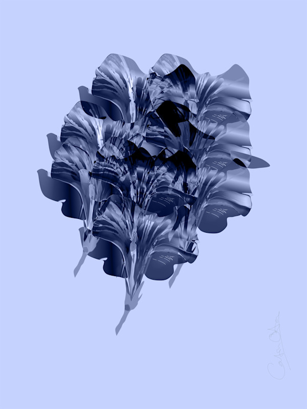 Two Petunias 6 by Catrin O'Hara