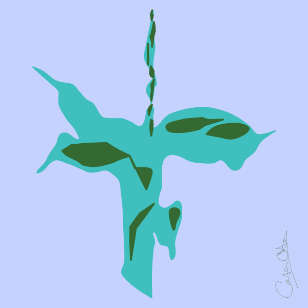 Plant Series 1: Abstract Line Cavendish 1 by Catrin O'Hara
