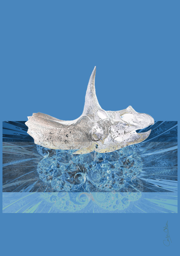 Triceratops in Blue Ice by Catrin O'Hara