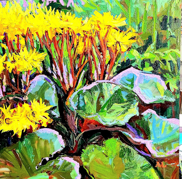 Ligularia by Alina Lloyd