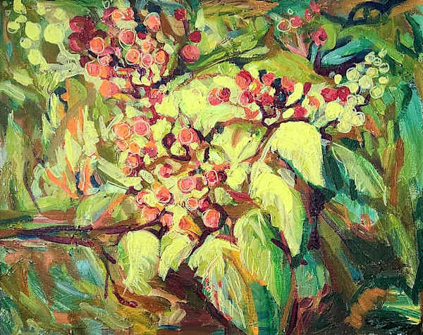 Virburnum by Alina Lloyd