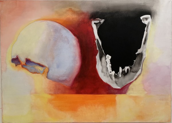 Plinius The Elder's skull by Maria Mimma Scarpini