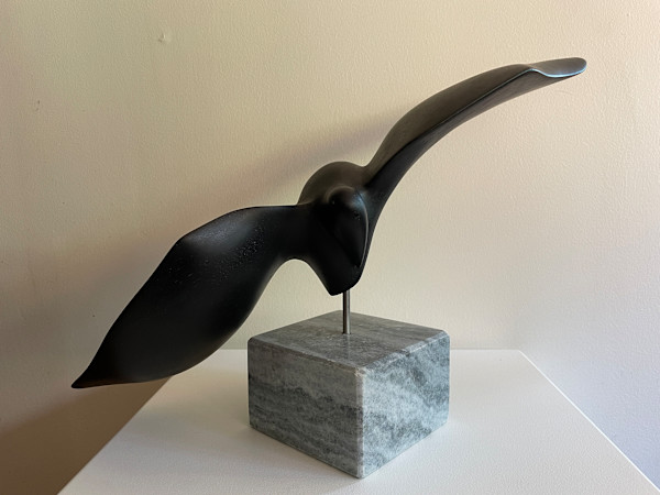 Soaring by Tania Hungerford-Gerth