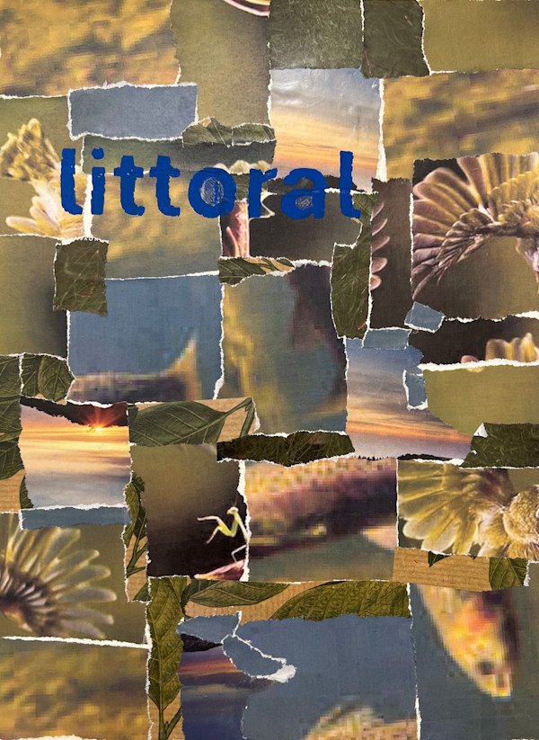 Littoral - the shore of a lake, sea, or ocean by Jeannie N. Hua, Image 1.