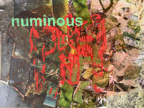 Numinous by Jeannie N. Hua, Image 1.