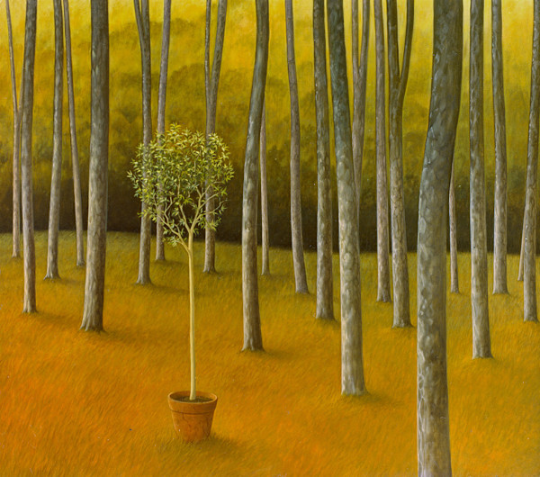 La Iniciacion by John Fraser