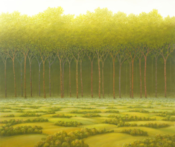 *- sin titulo - field and background forest by John Fraser