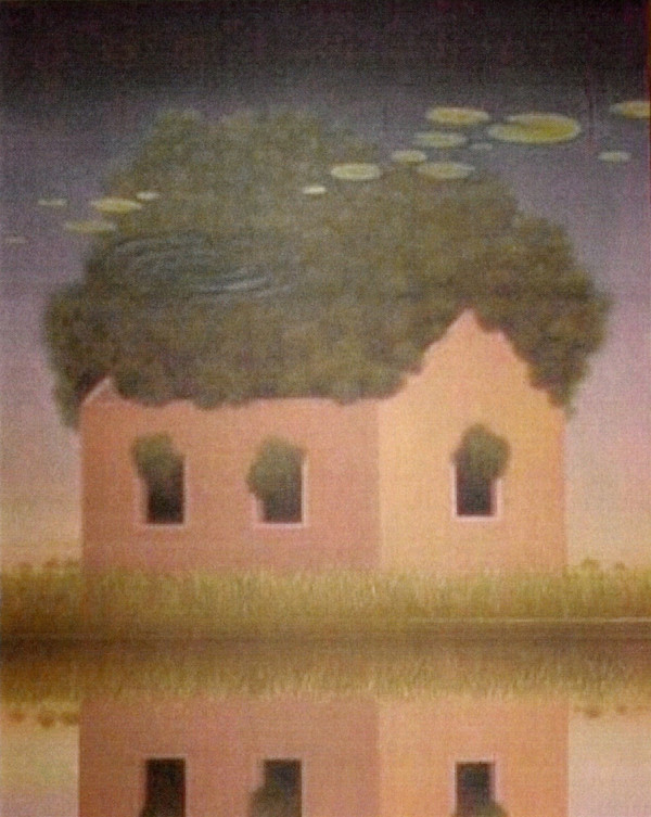 - sin titulo -  casa water reflexion by John Fraser