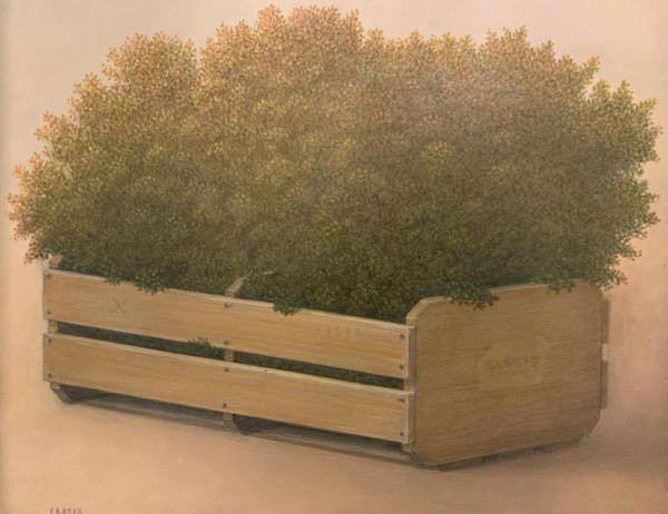 *El Oasis by John Fraser