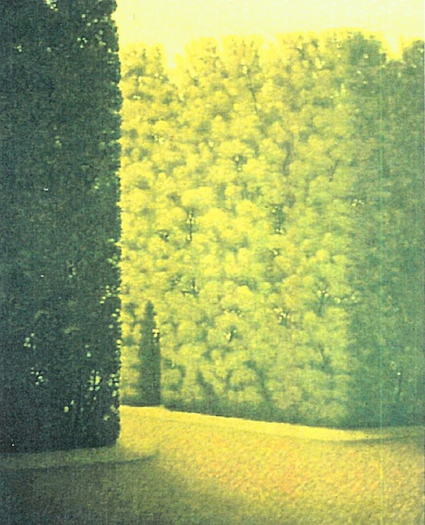 - sin titulo - hedge entrance by John Fraser