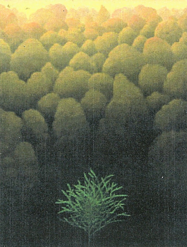 - sin titulo - arbolito y bosque by John Fraser