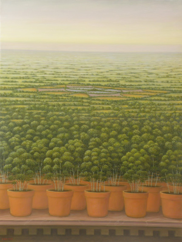 Pending Tree Pots by John Fraser