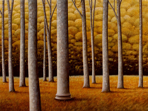 - sin titulo - Forest by John Fraser