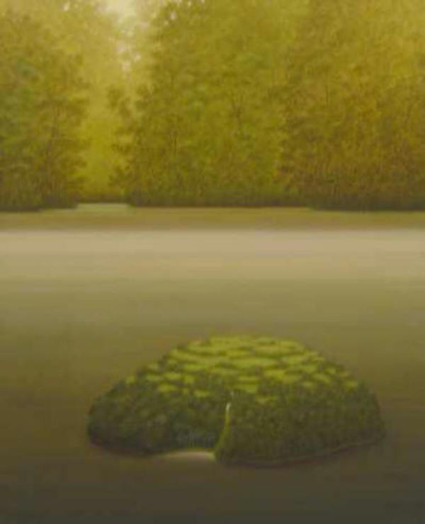 - sin titulo - island - landscape by John Fraser