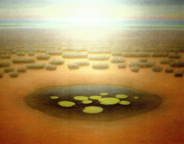 - sin titulo -  pond and Lillypads by John Fraser