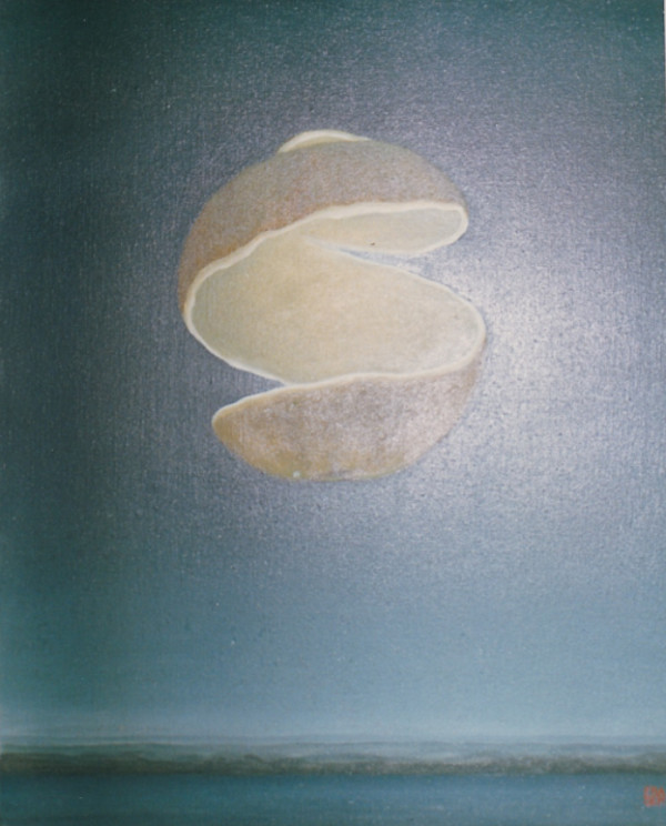 *- sin titulo - peel by John Fraser