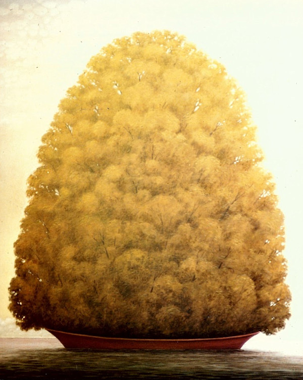 - sin titulo - trees - boat by John Fraser