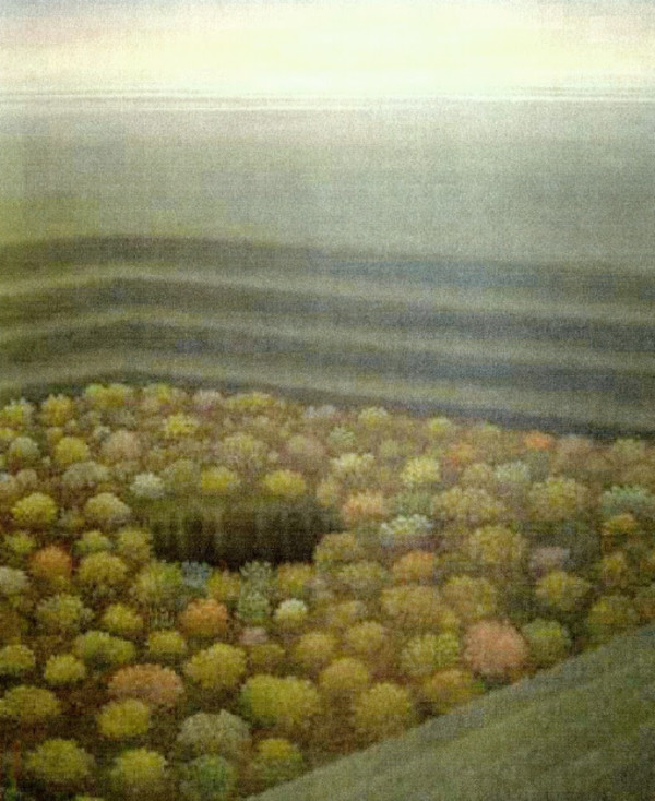 - sin titulo - tree theater by John Fraser